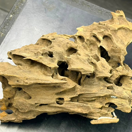 Natural Dragon Wood – Blocky Mountain Ridge / Mound Aquascaping Driftwood Piece