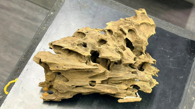 Natural Dragon Wood – Blocky Mountain Ridge / Mound Aquascaping Driftwood Piece