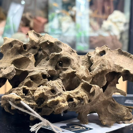 Natural Dragon Wood – Blocky Mountain Ridge / Mound Aquascaping Driftwood Piece
