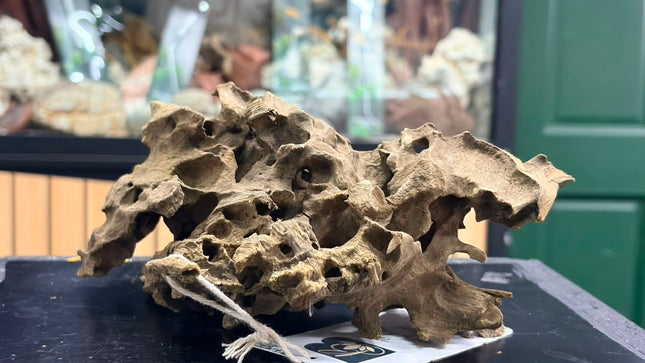 Natural Dragon Wood – Blocky Mountain Ridge / Mound Aquascaping Driftwood Piece