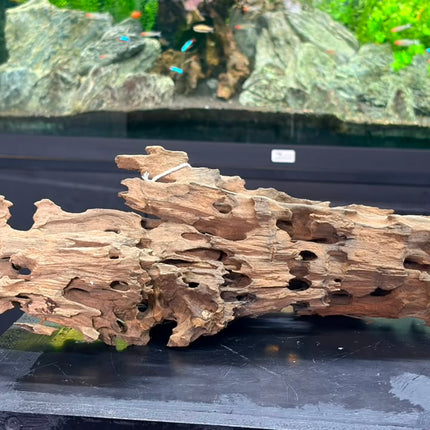 Natural Dragon Wood – Large Honeycomb Lattice Plank Aquascaping Driftwood (19" x 8.5" x 7.5")