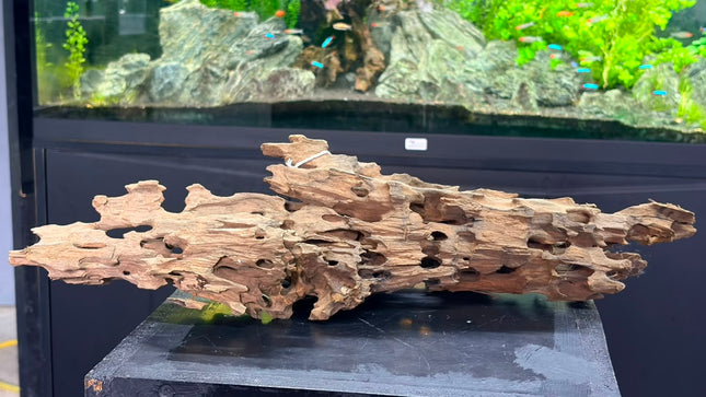 Natural Dragon Wood – Large Honeycomb Lattice Plank Aquascaping Driftwood (19" x 8.5" x 7.5")