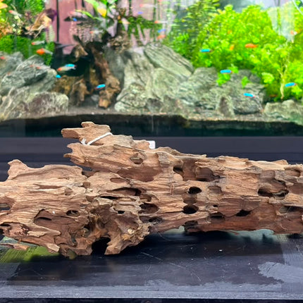 Natural Dragon Wood – Large Honeycomb Lattice Plank Aquascaping Driftwood (19" x 8.5" x 7.5")