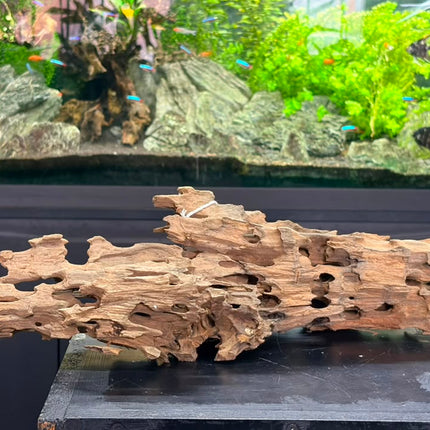 Natural Dragon Wood – Large Honeycomb Lattice Plank Aquascaping Driftwood (19" x 8.5" x 7.5")