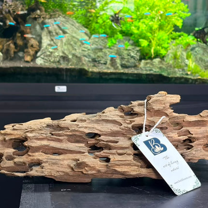Natural Dragon Wood – Large Honeycomb Lattice Plank Aquascaping Driftwood (19" x 8.5" x 7.5")
