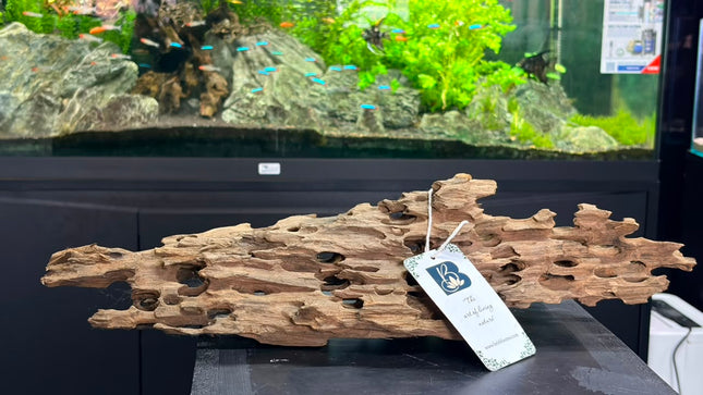 Natural Dragon Wood – Large Honeycomb Lattice Plank Aquascaping Driftwood (19" x 8.5" x 7.5")