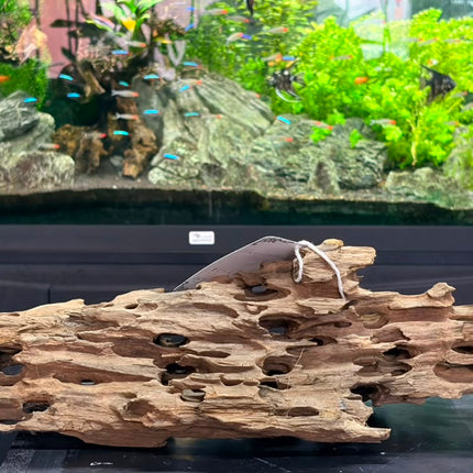 Natural Dragon Wood – Large Honeycomb Lattice Plank Aquascaping Driftwood (19" x 8.5" x 7.5")