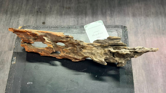 Natural Dragon Wood – Elongated Arch / Bridge Aquascaping Driftwood Piece