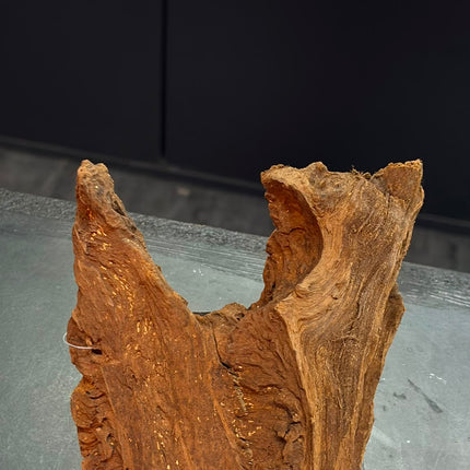 Natural Malaysian Driftwood – Saddle Ridge / Forked Centerpiece Aquascaping Wood