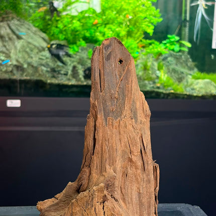 Natural Malaysian Driftwood – Upright Mountain Spire / Tower Aquascaping Wood