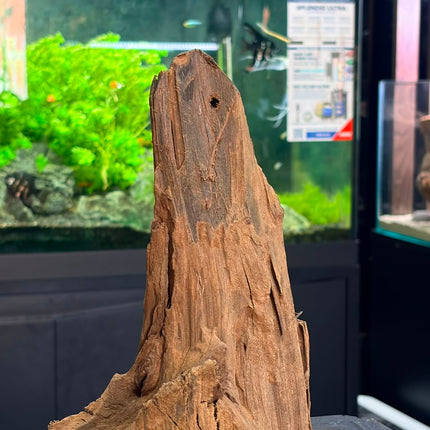 Natural Malaysian Driftwood – Upright Mountain Spire / Tower Aquascaping Wood