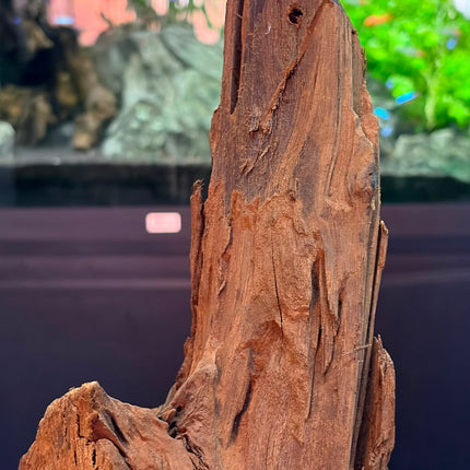 Natural Malaysian Driftwood – Upright Mountain Spire / Tower Aquascaping Wood