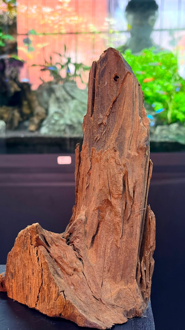 Natural Malaysian Driftwood – Upright Mountain Spire / Tower Aquascaping Wood