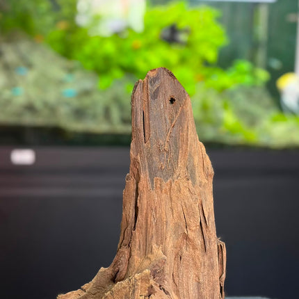 Natural Malaysian Driftwood – Upright Mountain Spire / Tower Aquascaping Wood