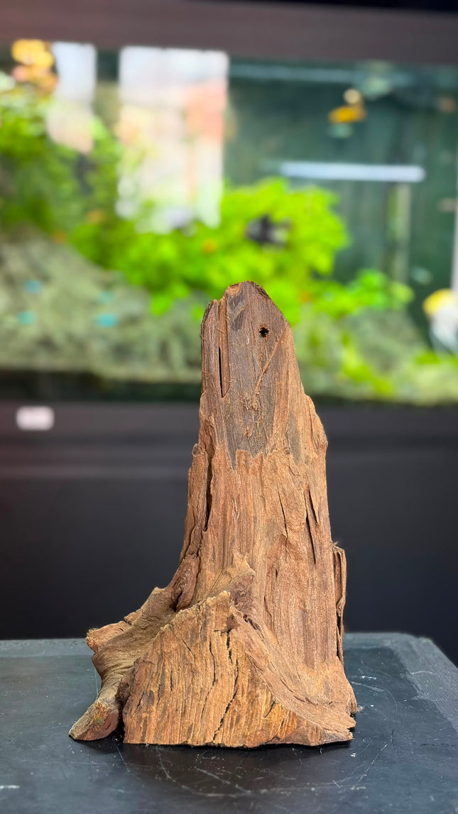 Natural Malaysian Driftwood – Upright Mountain Spire / Tower Aquascaping Wood