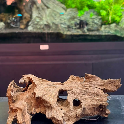 Natural Antique Bogwood – Hollow Cave Bridge / Horizontal Tunnel Aquascaping Wood