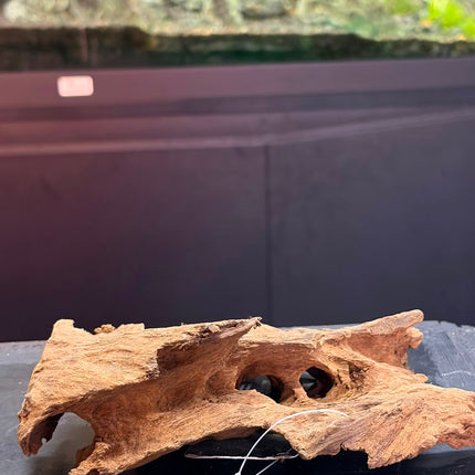 Natural Antique Bogwood – Hollow Cave Bridge / Horizontal Tunnel Aquascaping Wood