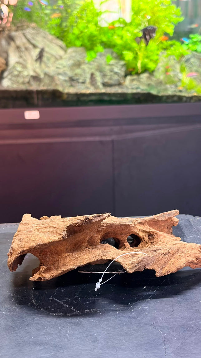 Natural Antique Bogwood – Hollow Cave Bridge / Horizontal Tunnel Aquascaping Wood