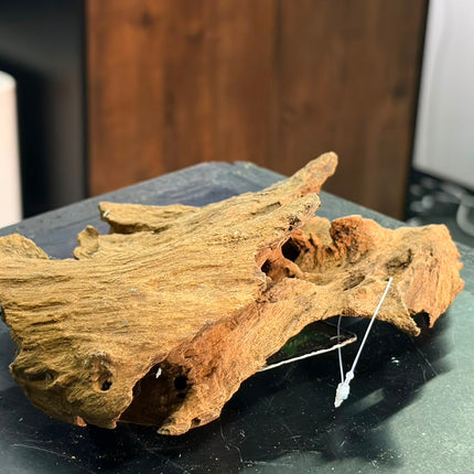 Natural Antique Bogwood – Hollow Cave Bridge / Horizontal Tunnel Aquascaping Wood