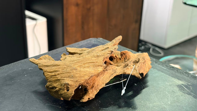 Natural Antique Bogwood – Hollow Cave Bridge / Horizontal Tunnel Aquascaping Wood