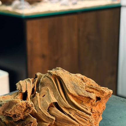 Natural Sumatran Canyon Wood – Canyon Ridge Mound Aquascaping Driftwood