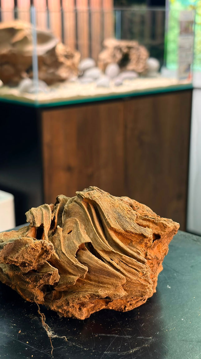 Natural Sumatran Canyon Wood – Canyon Ridge Mound Aquascaping Driftwood