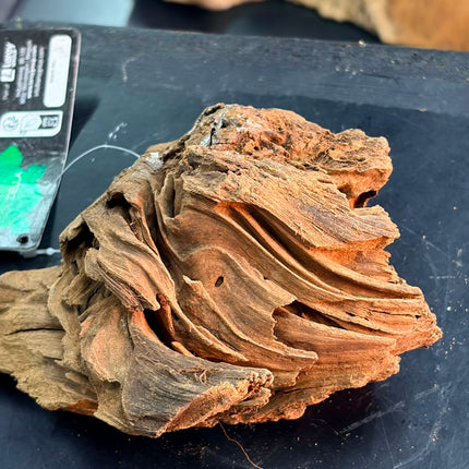 Natural Sumatran Canyon Wood – Canyon Ridge Mound Aquascaping Driftwood