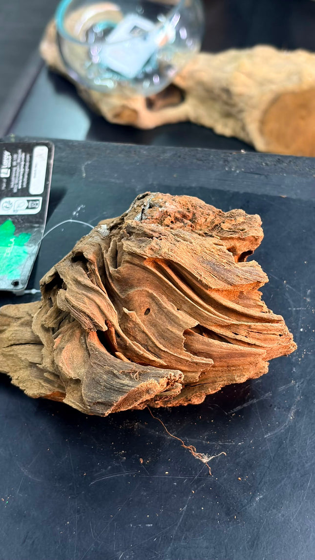 Natural Sumatran Canyon Wood – Canyon Ridge Mound Aquascaping Driftwood