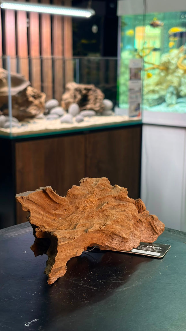 Natural Sumatran Canyon Wood – Low-Profile Ridge / Bridge Aquascaping Driftwood