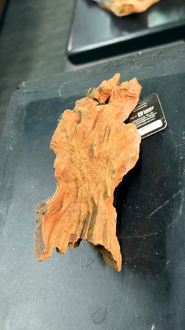 Natural Sumatran Canyon Wood – Low-Profile Ridge / Bridge Aquascaping Driftwood
