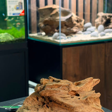 Natural Dark Ironwood – Weathered Island Mound Aquascaping Driftwood