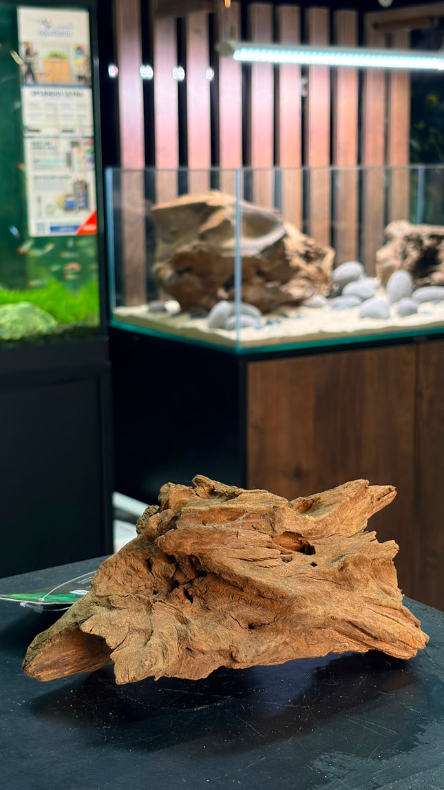 Natural Dark Ironwood – Weathered Island Mound Aquascaping Driftwood
