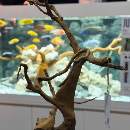 Natural Spiderwood Tree – Slate-Mounted Bonsai Tower Aquascaping Driftwood