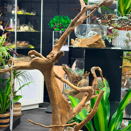 Natural Spiderwood Tree – Slate-Mounted Bonsai Tower Aquascaping Driftwood
