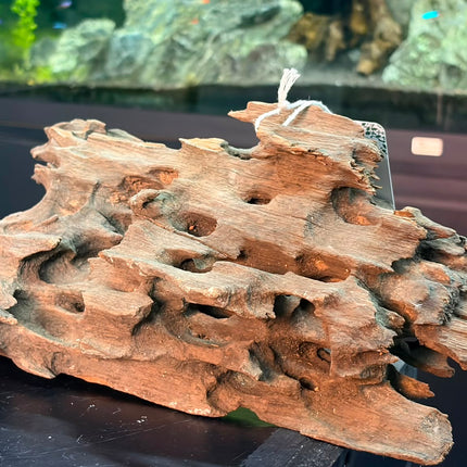Natural Dragon Wood – Honeycomb Cave Log Aquascaping Driftwood Piece