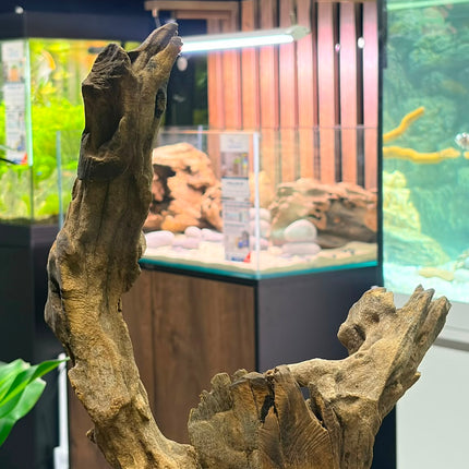 Natural Dark Ironwood – Asymmetrical Tower / Forked Spire Aquascaping Wood