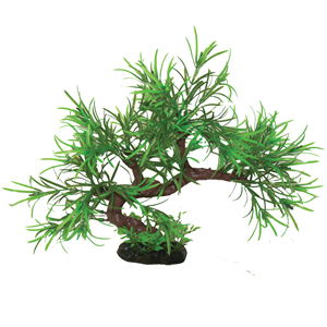 Hugo Bonsai Mini Spider 23 cm