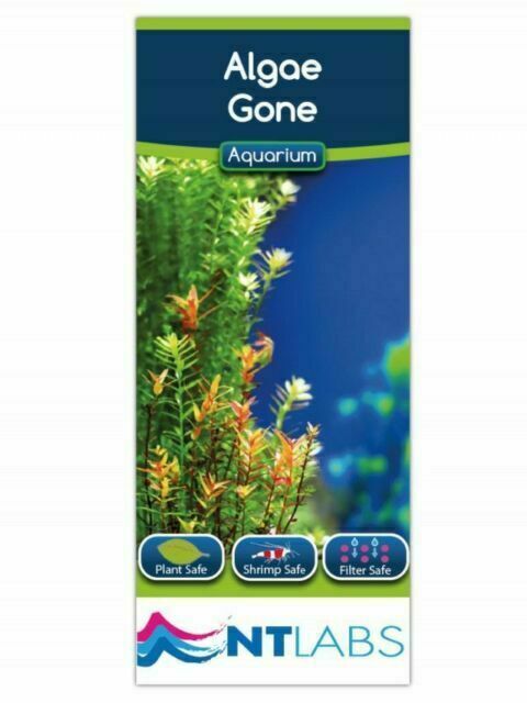 NT Labs Aquarium Treatment Algae Gone - 100ml Next DAY DELIVERY