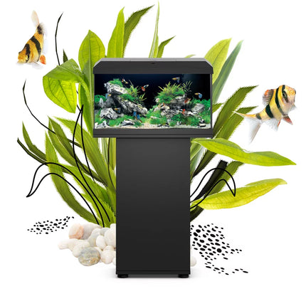 JUWEL PRIMO 60 LED Aquarium